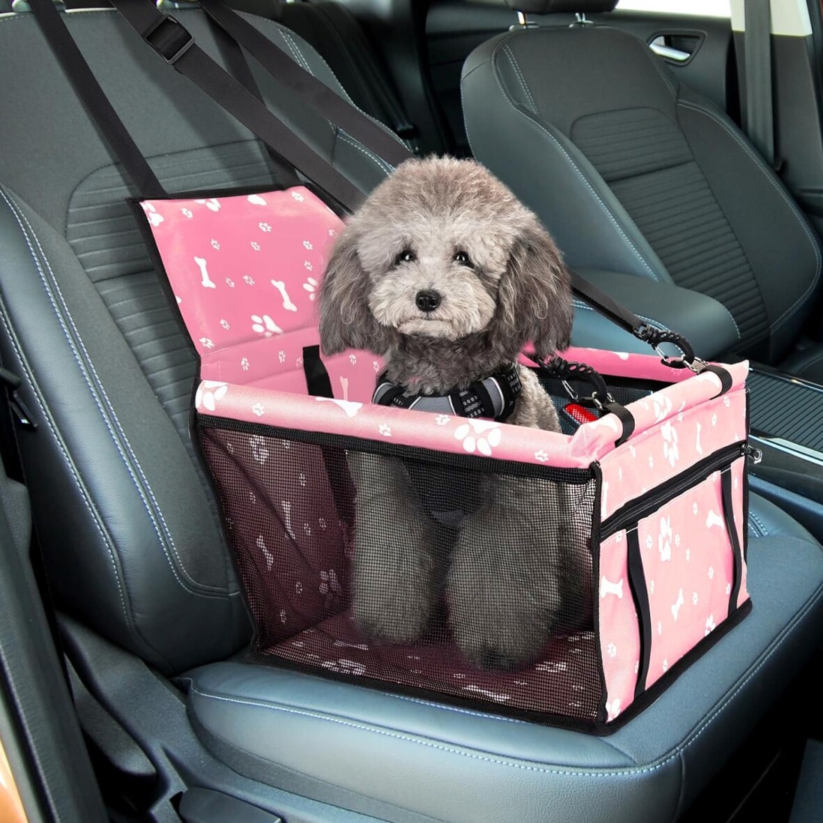 Premium Dog Car Booster Seat with Safety Tether - Image 4